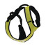 Szelki Do Biegania/Joggingu Canisport XL zielone