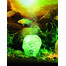 H2shOw Lost Civilization - kryształowa czaszka