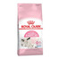 Babycat 34 10 kg