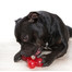 Zabawka Strong Dog Bone 16,5cm