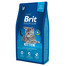 Premium kitten 8 kg
