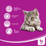 WHISKAS 1+ lat opakowanie 24x100g - mokra karma dla kotów, z wołowiną w sosie