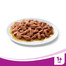1+ Smaki Tradycyjne w Sosie 100 g 58+38 GRATIS