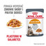 ROYAL CANIN Hair&Skin w galaretce 12 x 85 g