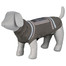 Sweterek "Best of all Breeds", XS: 30 cm