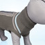 Sweterek "Best of all Breeds", XS: 30 cm