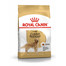 Golden retriever adult 3 kg