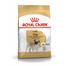 Pug adult 500 g