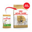 Pug adult 500 g