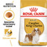 Cavalier King Charles Spaniel Adult 1.5 kg karma sucha dla psów dorosłych rasy cavalier king charles spaniel