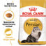 Persian 4 kg karma sucha dla kotów dorosłych rasy perskiej