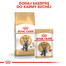 British Shorthair 85 g saszetka 6x85 g