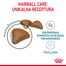 Hairball Care 10 kg karma sucha dla kotów dorosłych, eliminacja kul włosowych