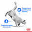 Light Weight Care 10 kg karma sucha dla kotów dorosłych, utrzymanie prawidłowej masy ciała