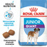 Giant junior 15 kg + 3 kg gratis karma sucha dla szczeniąt od 8 do 18/24 miesiąca życia, ras olbrzymich