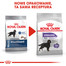 Maxi Sterilised karma sucha dla psów dorosłych, ras dużych, sterylizowanych 3 kg