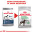 Maxi Digestive Care karma sucha dla psów dorosłych, ras dużych o wrażliwym przewodzie pokarmowym 10 kg