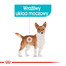 Urinary Care karma mokra dla psów dorosłych, ochrona dolnych dróg moczowych 85 g