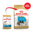 Shih Tzu Junior karma sucha dla szczeniąt do 10 miesiąca, rasy shih tzu 500 g