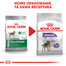 Mini Sterilised karma sucha dla psów dorosłych, ras małych, sterylizowanych 3 kg