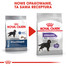 Maxi Sterilised karma sucha dla psów dorosłych, ras dużych, sterylizowanych 9 kg