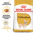 Chihuahua Adult karma sucha dla psów dorosłych rasy chihuahua 500 g
