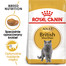 British Shorthair karma sucha dla kotów dorosłych rasy brytyjski krótkowłosy 10 kg
