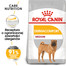 Medium Dermacomfort 3 kg karma sucha dla psów dorosłych, ras średnich o wrażliwej skórze
