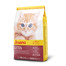Cat Minette 2 kg
