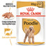 Poodle Adult in Sobe 85 g mokra karma w formie pasztetu dla dorosłych psów, rasy pudel