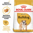 Bulldog Adult karma sucha dla psów dorosłych rasy bulldog 3 kg