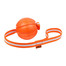LINE Dog toy piłka na pasku z uchem dla psa 7 cm