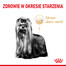 Yorkshire Terrier Adult 8+3 kg karma sucha dla dojrzałych psów rasy yorkshire terrier, powyżej 8 roku życia
