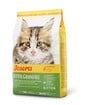 Kitten GrainFree Sucha karma dla kociąt 2 kg