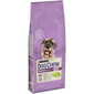 Dog Chow Senior jagnięcina 14 kg