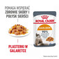 ROYAL CANIN Hair&Skin w galaretce 12 x 85 g