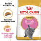 Kitten british shorthair 2 kg karma sucha dla kociąt, do 12 miesiąca, rasy brytyjski krótkowłosy