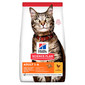 Science Plan Feline Adult Chicken New 10 kg