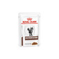 Cat Gastro Intestinal 12x85 g