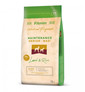 dog medium maxi lamb rice 12 kg