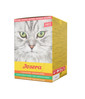 Multipack Pate 6x85 g mix smaków pasztetu dla kotów