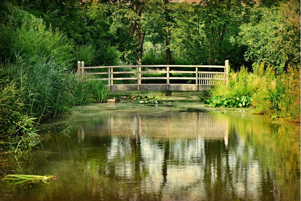 Oczko wodne w ogrodzie to ponadczasowy element dekoracyjny, zwłaszcza jeśli obsadzone jest roślinami i tryska w nim woda.