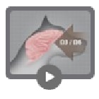 usp icon