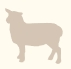 usp icon