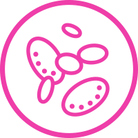 usp icon